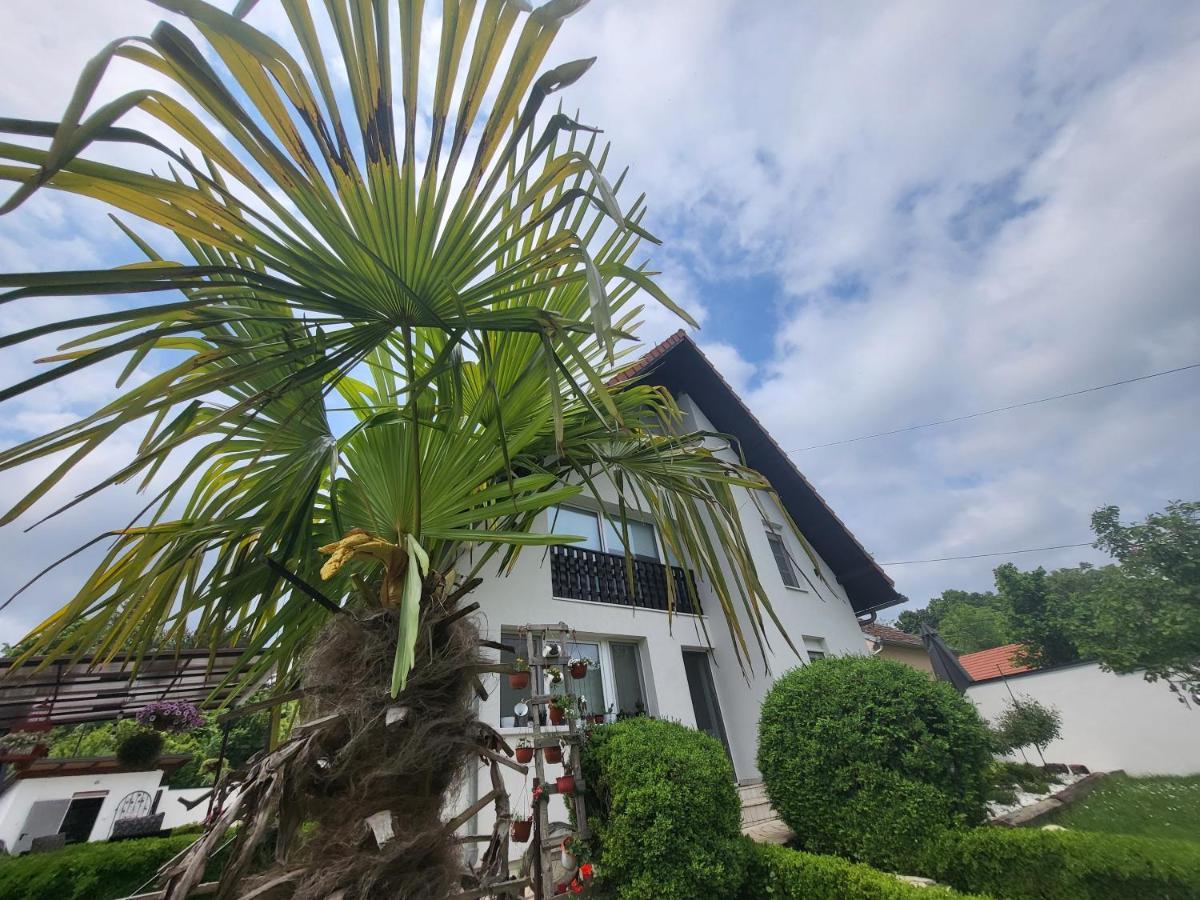 Vila Jovana Vrdnik Εξωτερικό φωτογραφία