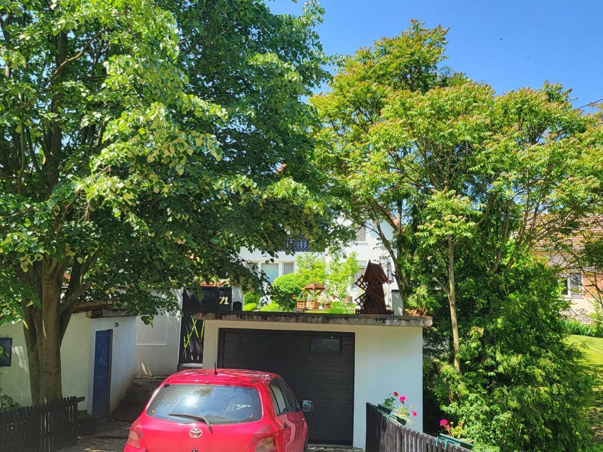 Vila Jovana Vrdnik Εξωτερικό φωτογραφία