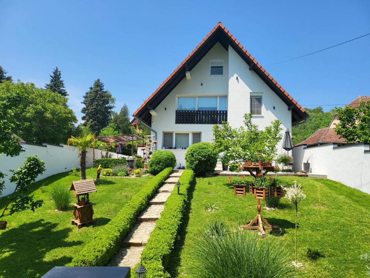Vila Jovana Vrdnik Εξωτερικό φωτογραφία