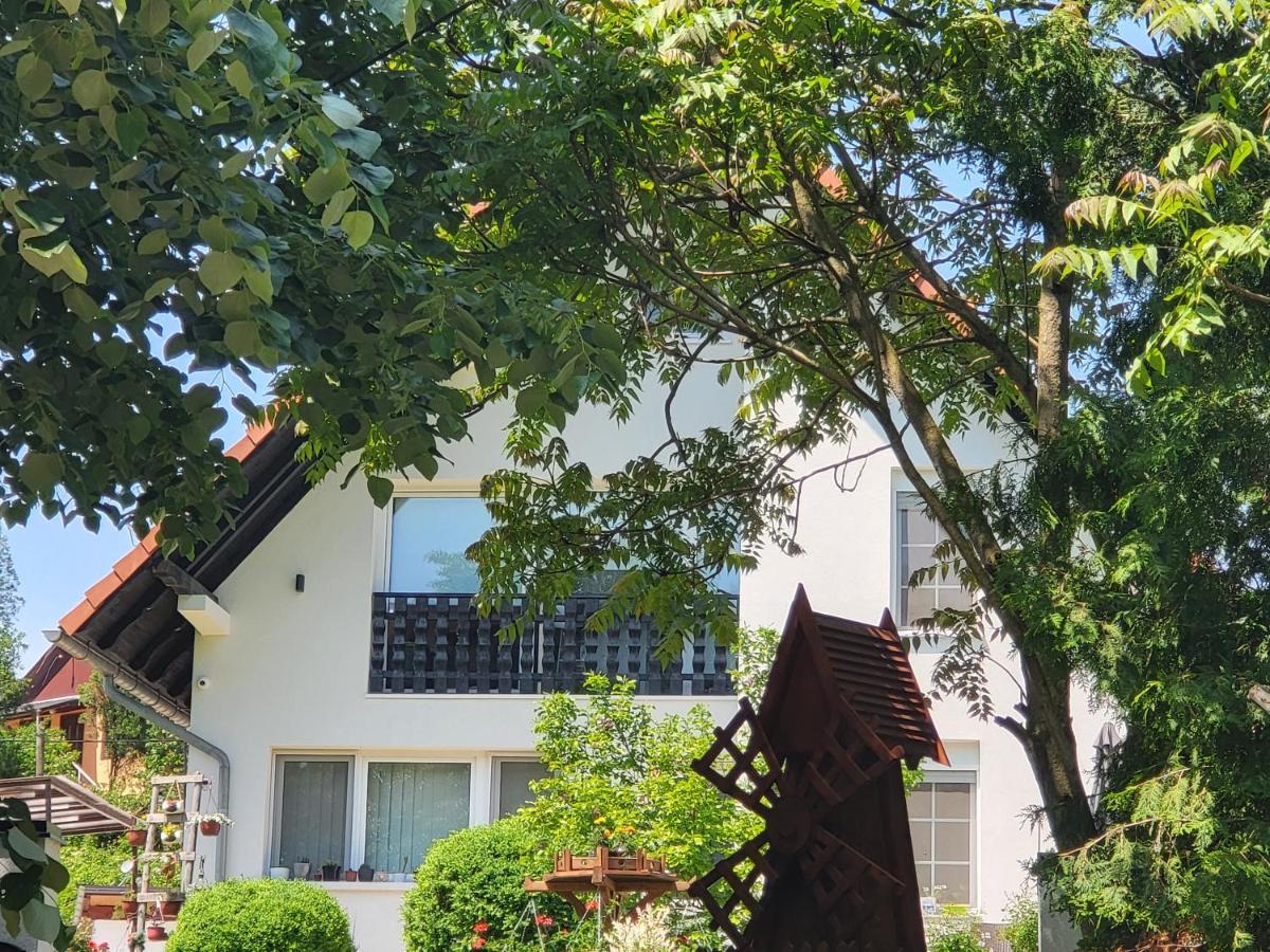 Vila Jovana Vrdnik Εξωτερικό φωτογραφία