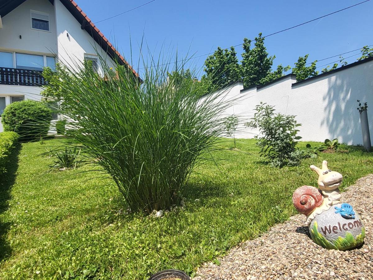 Vila Jovana Vrdnik Εξωτερικό φωτογραφία