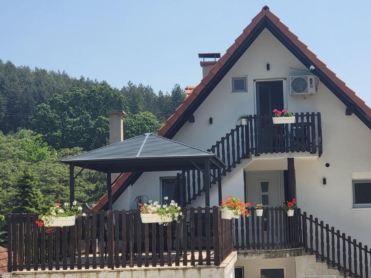 Vila Jovana Vrdnik Εξωτερικό φωτογραφία
