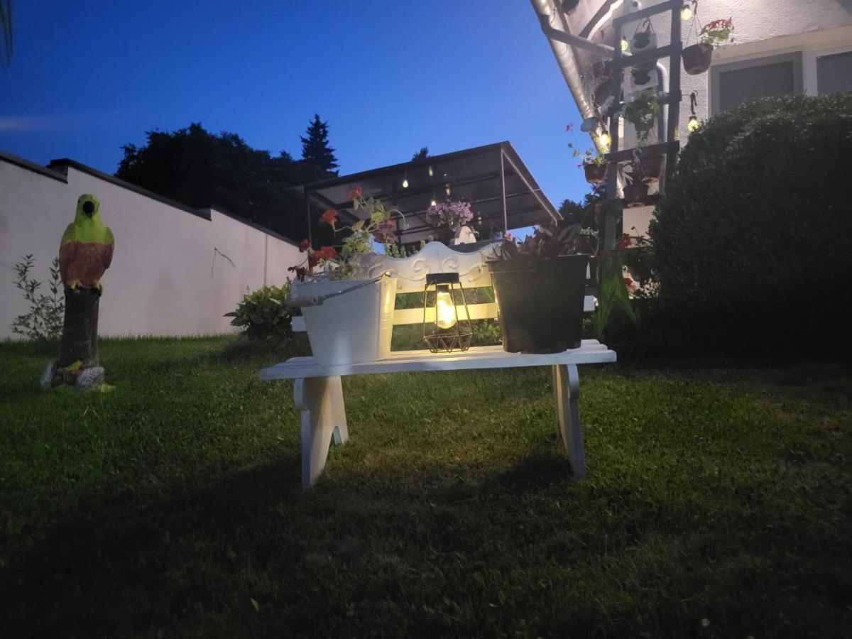 Vila Jovana Vrdnik Εξωτερικό φωτογραφία