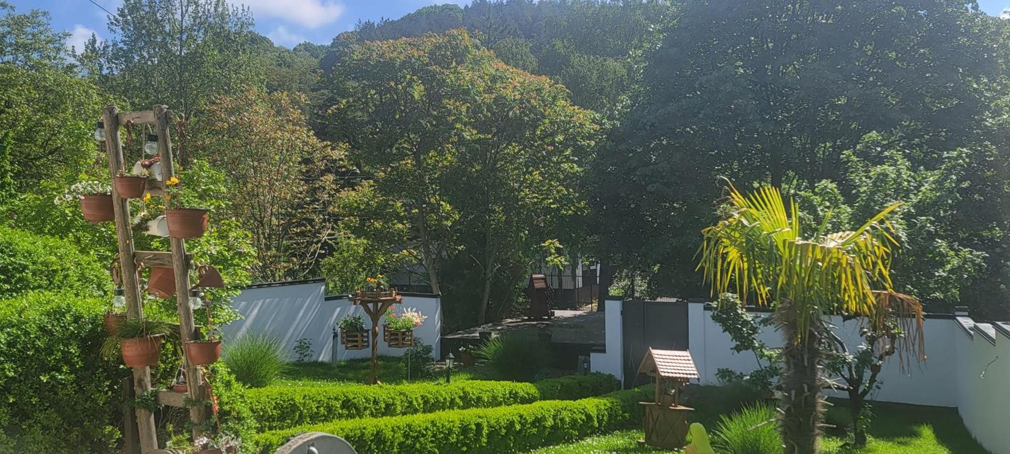 Vila Jovana Vrdnik Εξωτερικό φωτογραφία