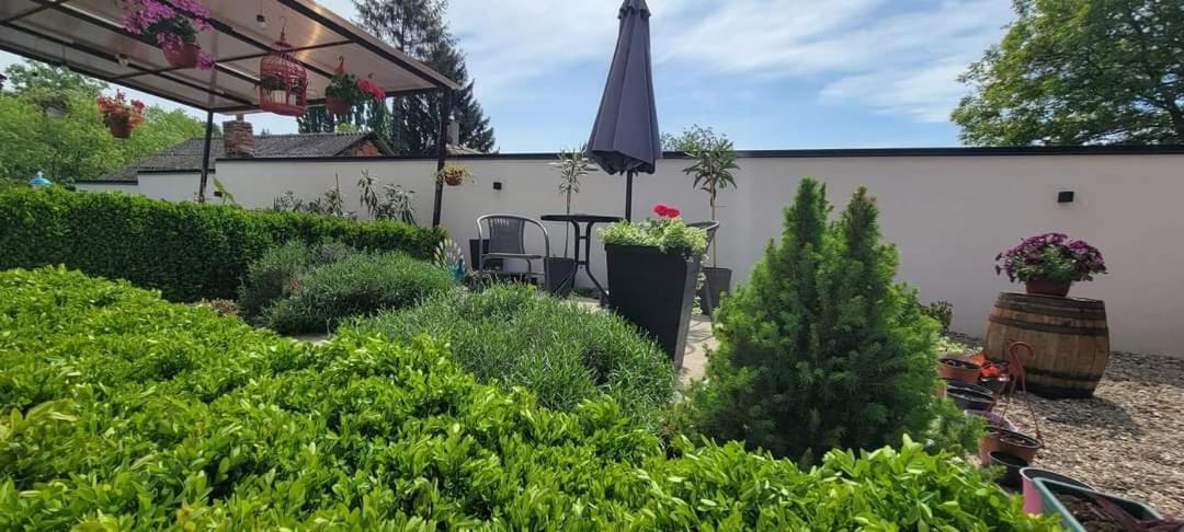 Vila Jovana Vrdnik Εξωτερικό φωτογραφία