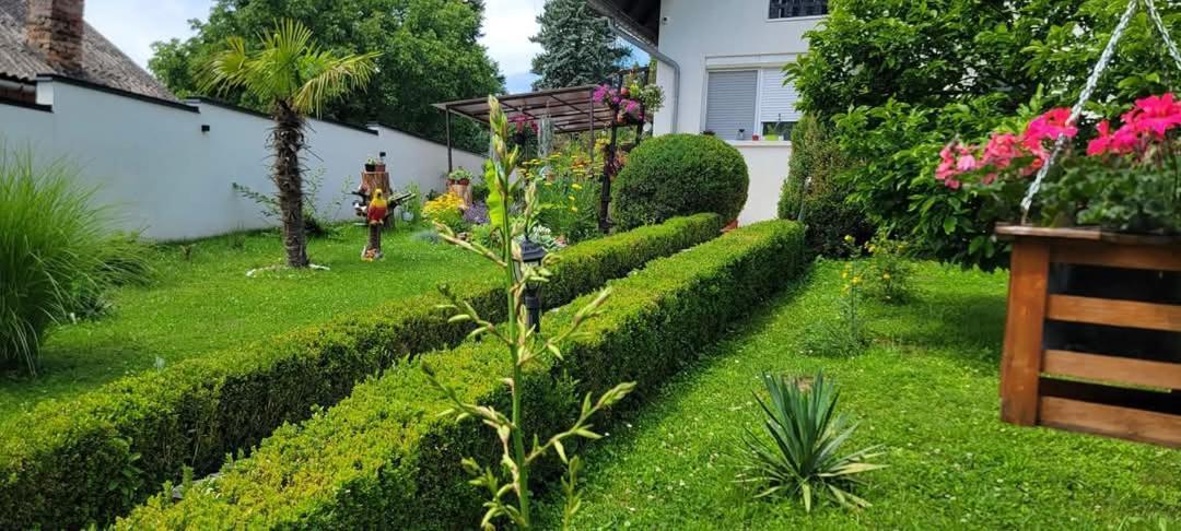 Vila Jovana Vrdnik Εξωτερικό φωτογραφία