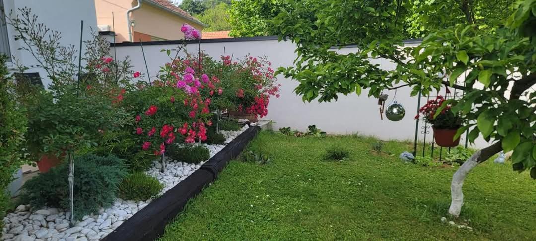 Vila Jovana Vrdnik Εξωτερικό φωτογραφία