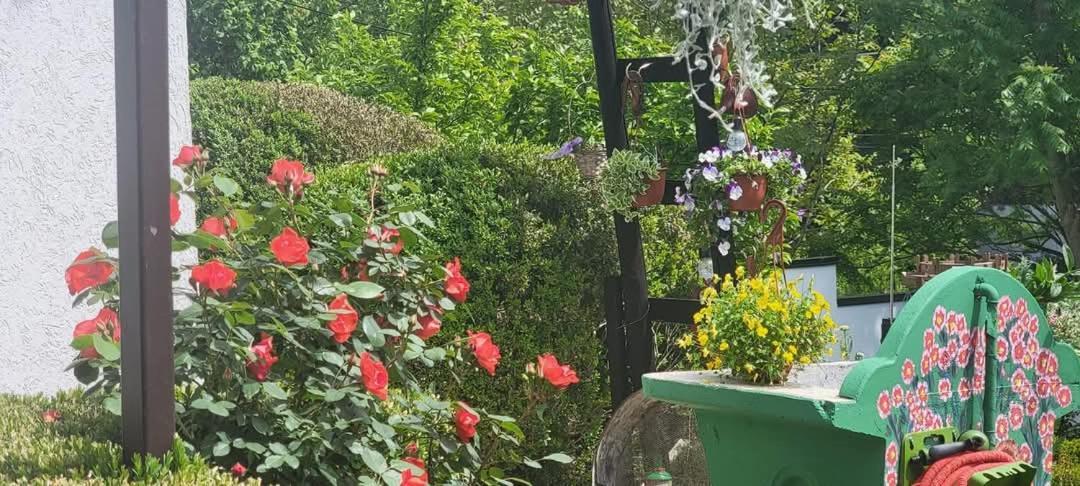 Vila Jovana Vrdnik Εξωτερικό φωτογραφία