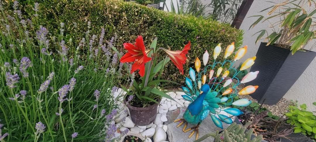 Vila Jovana Vrdnik Εξωτερικό φωτογραφία