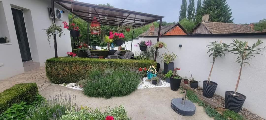 Vila Jovana Vrdnik Εξωτερικό φωτογραφία