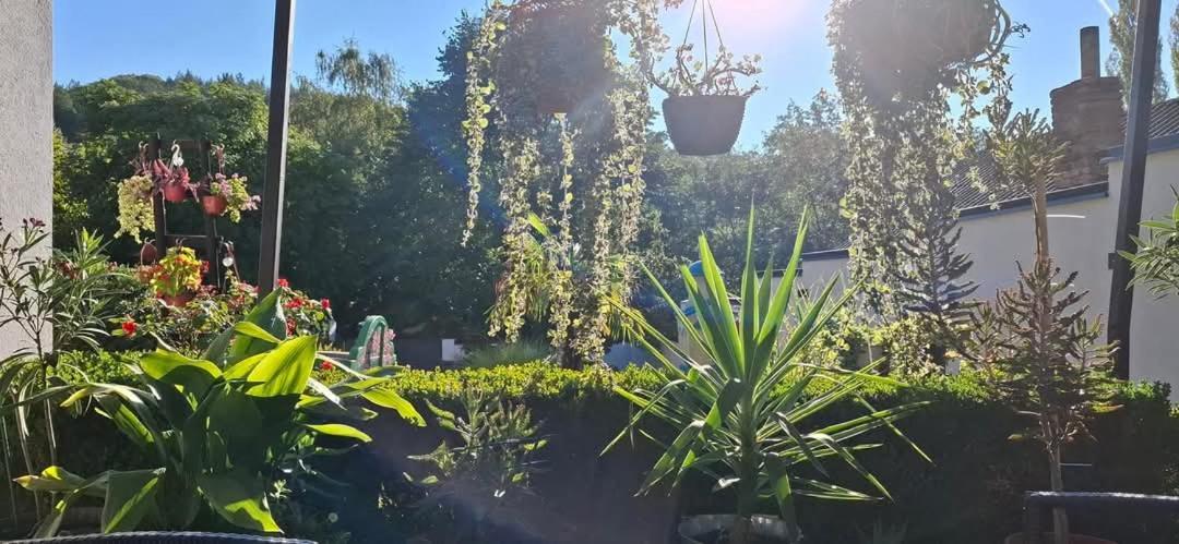 Vila Jovana Vrdnik Εξωτερικό φωτογραφία